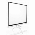 Экран Elite Screens T85NWS1 White (6944904418025)